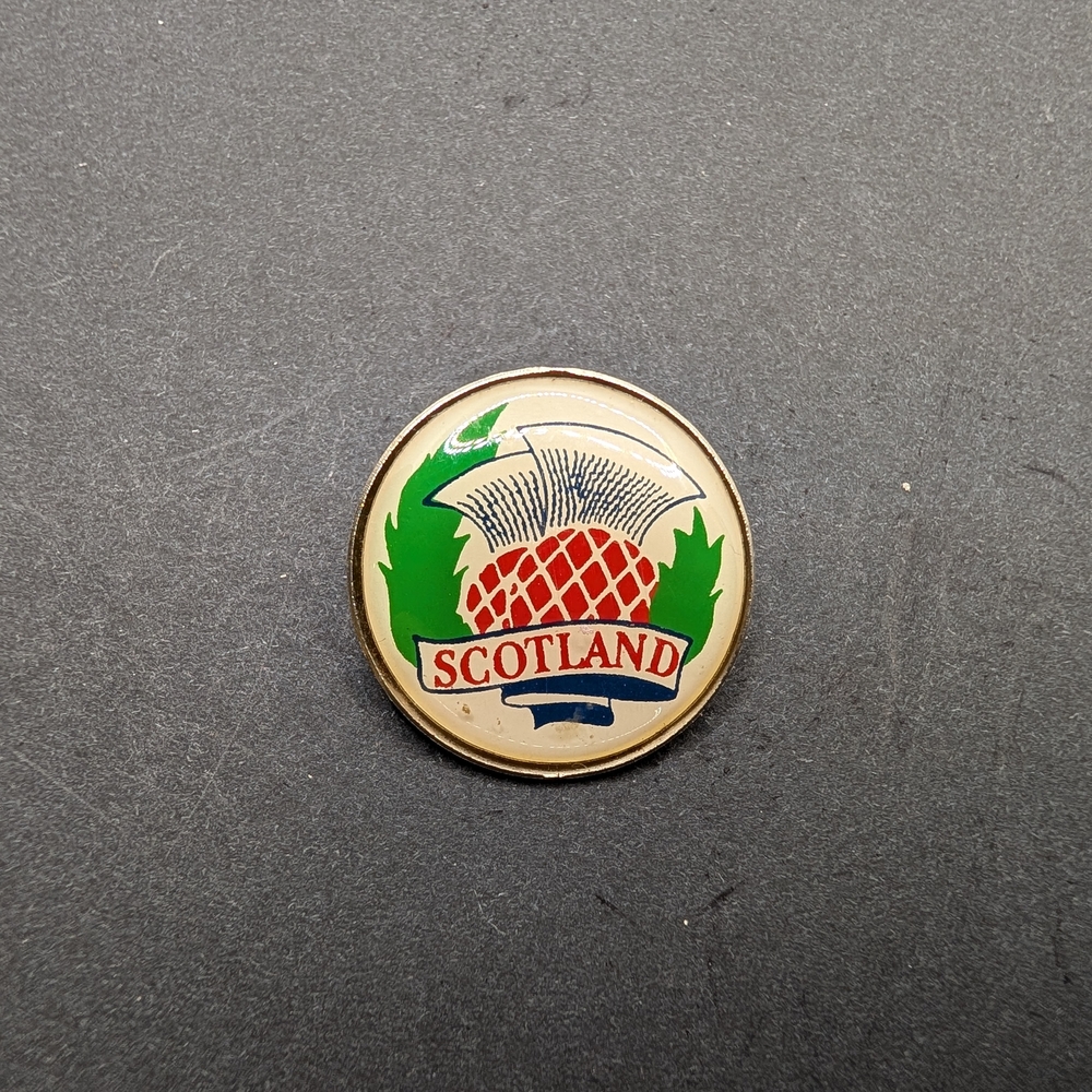 Vintage Scotland Thistle Pin - Red, Green, Blue